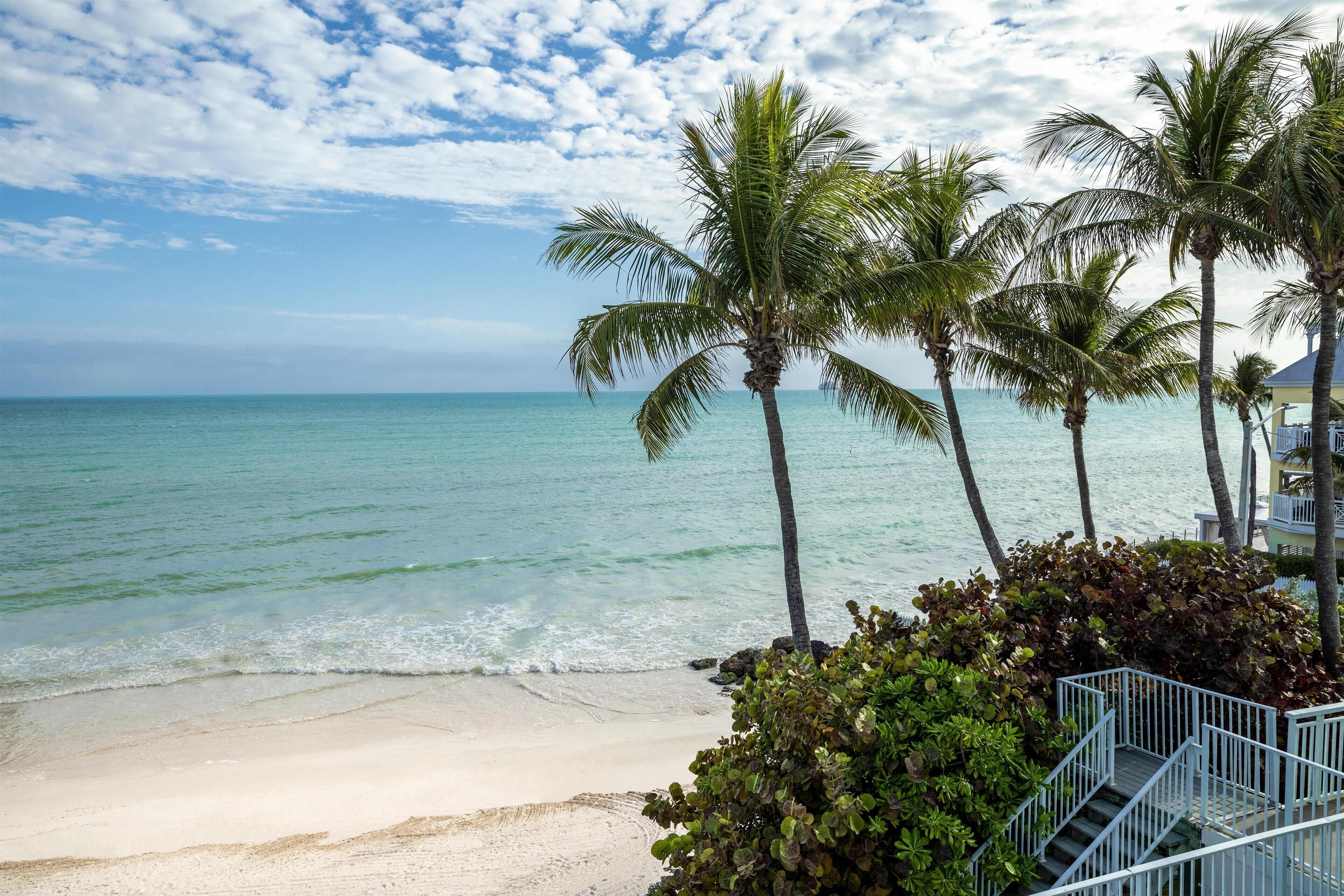A beach with palm trees and a staircase leading to a building.