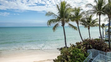 A beach with palm trees and a staircase leading to a building.