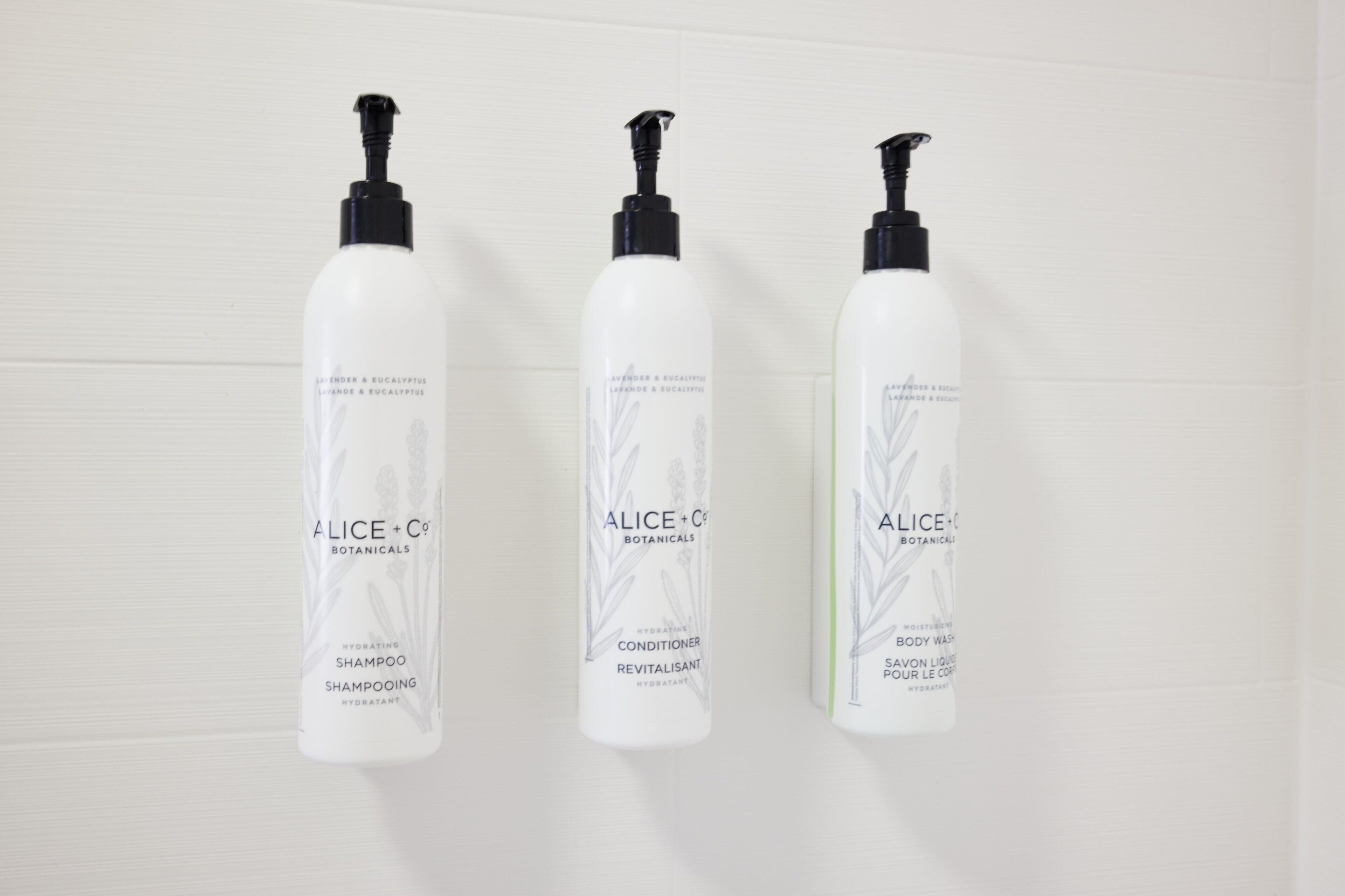 combined shower/bathtub, free toiletries, hair dryer, towels