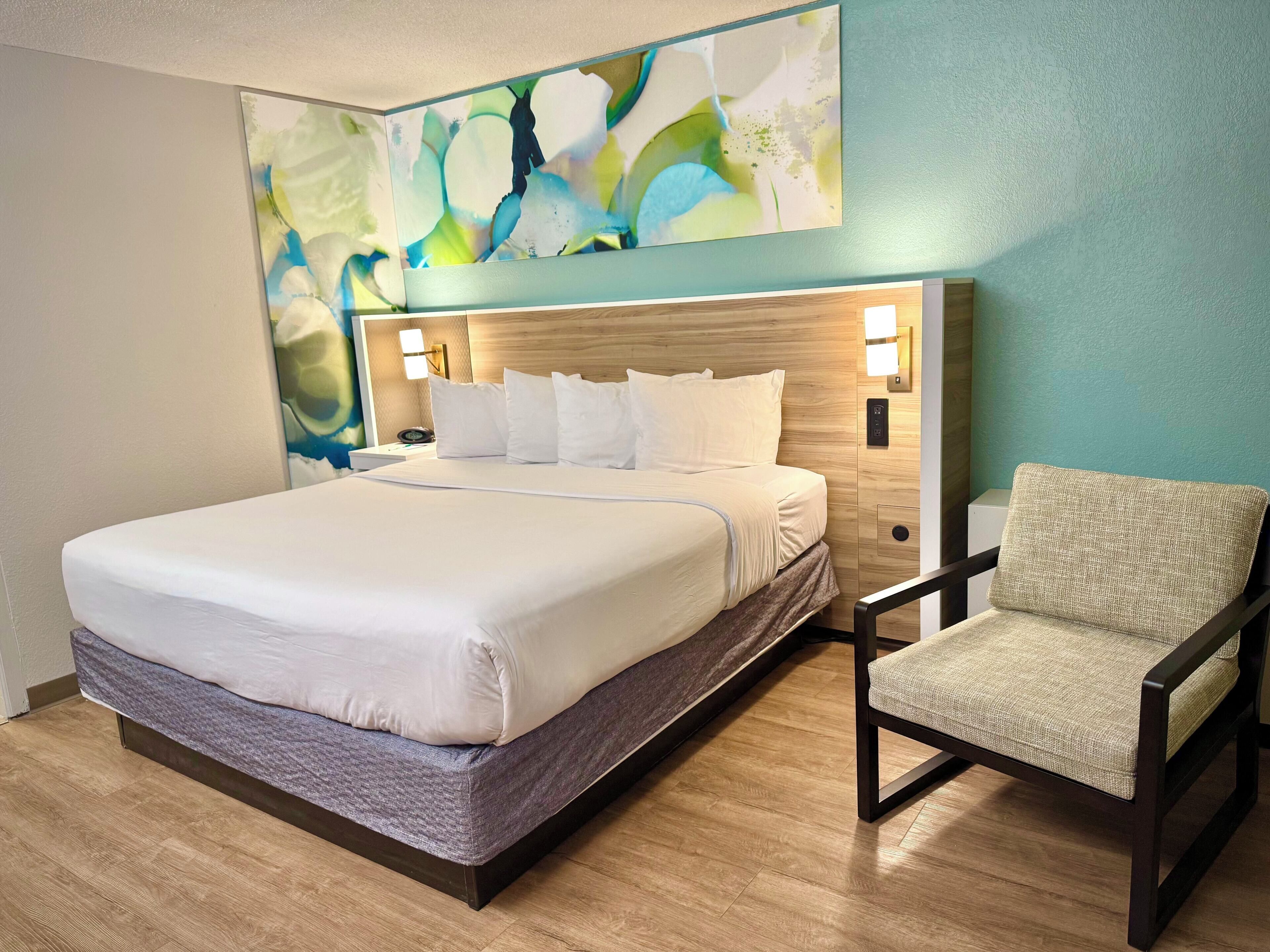 Room, 1 King Bed, Non Smoking | Premium bedding, pillowtop beds, desk, blackout drapes