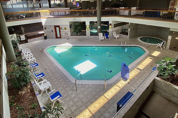 Indoor pool, sun loungers
