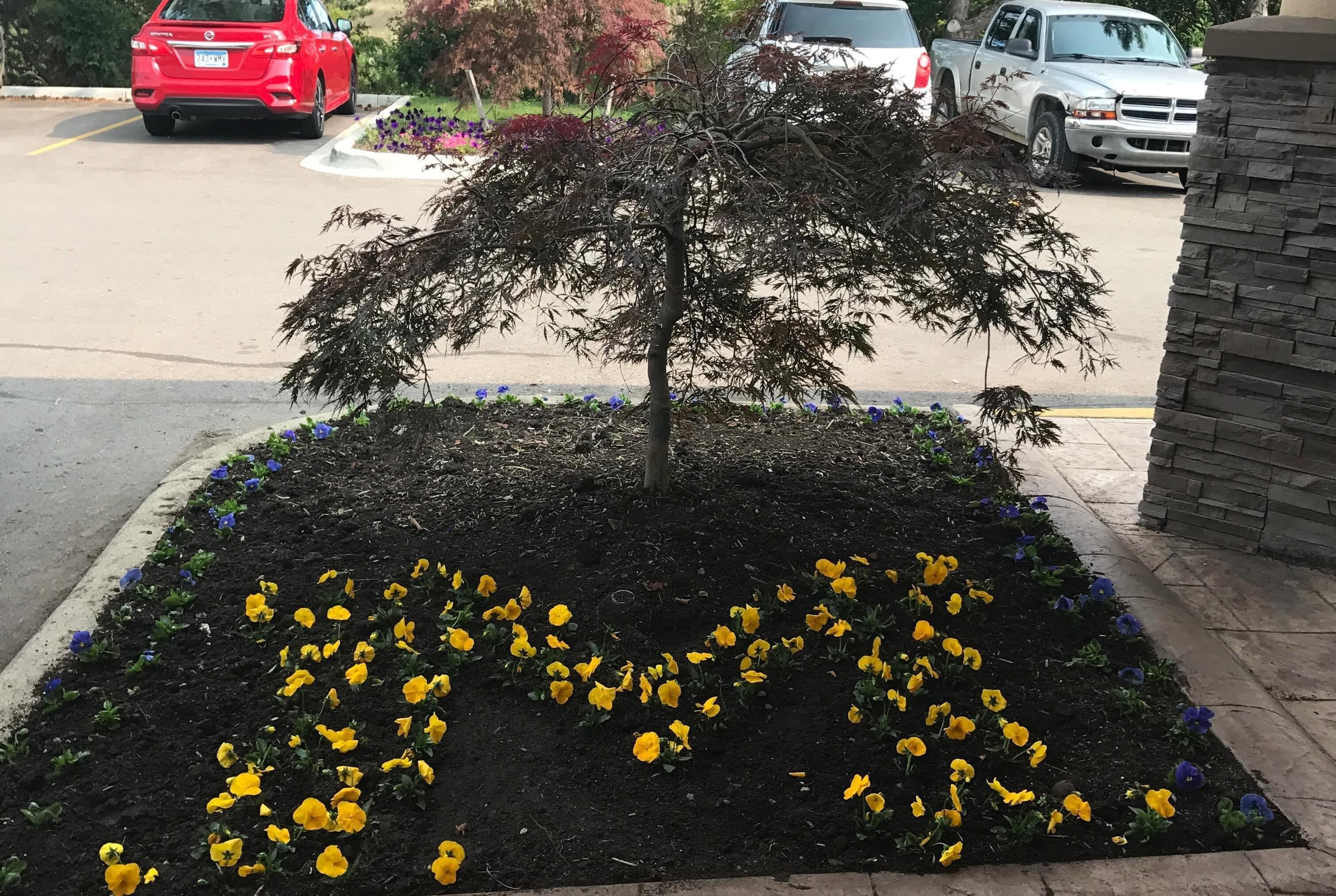 Un parking agrémenté d’un petit arbre et de quelques parterres de fleurs.