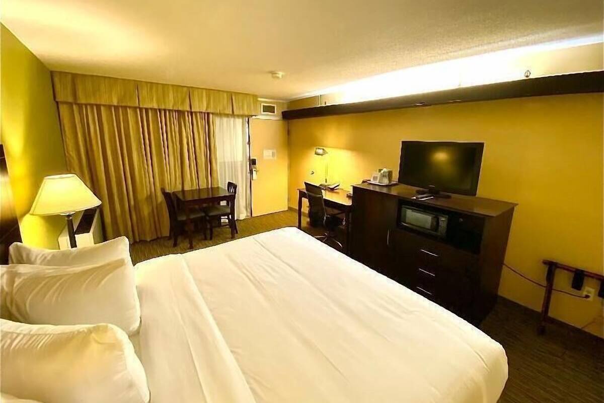 Premium bedding, pillow-top beds, desk, blackout curtains