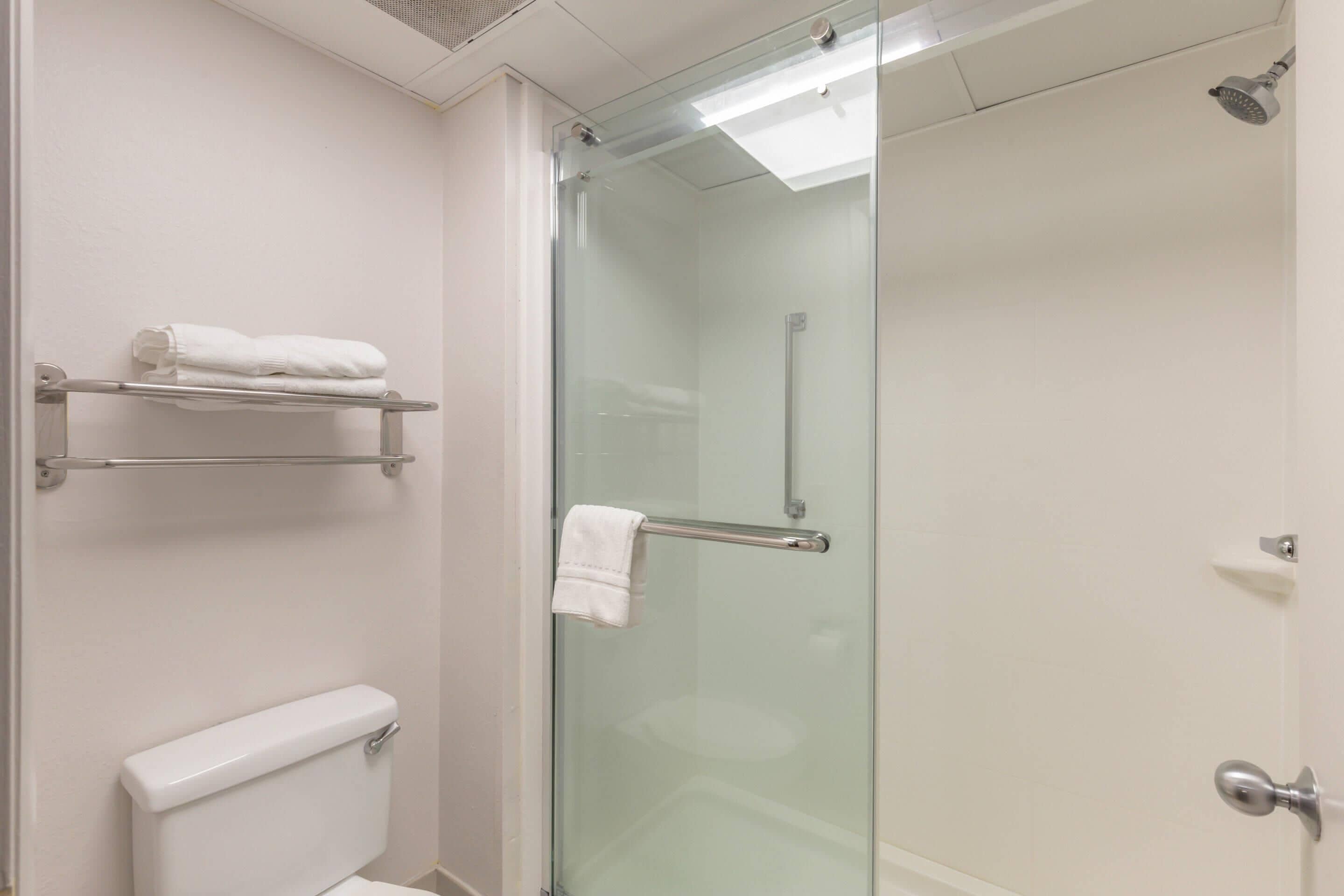 A bathroom with a glass shower enclosure, a toilet, and a towel rack.