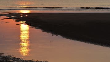 Vista desde la propiedad