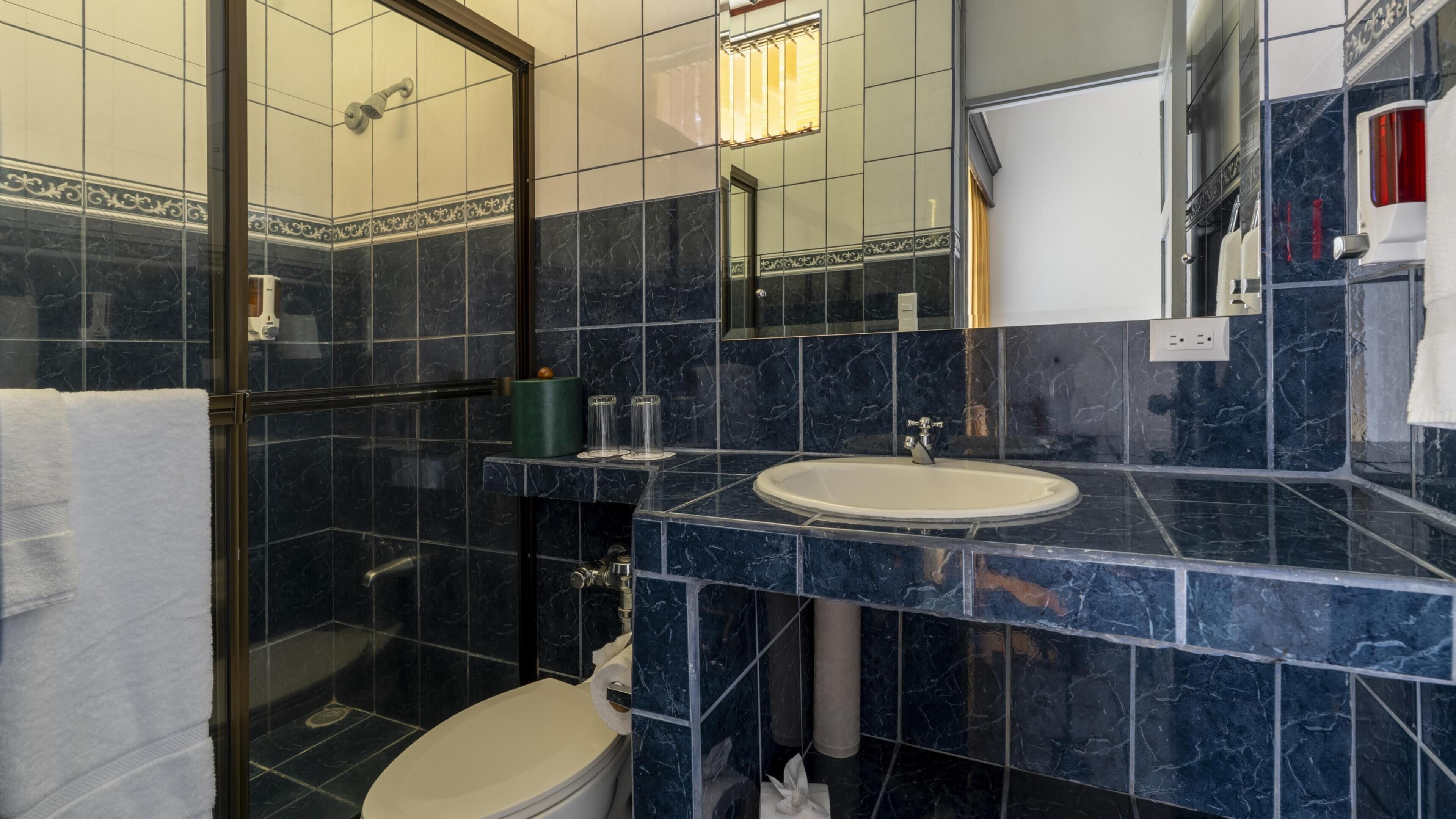 Et badeværelse med brusebad, toilet og håndvask.