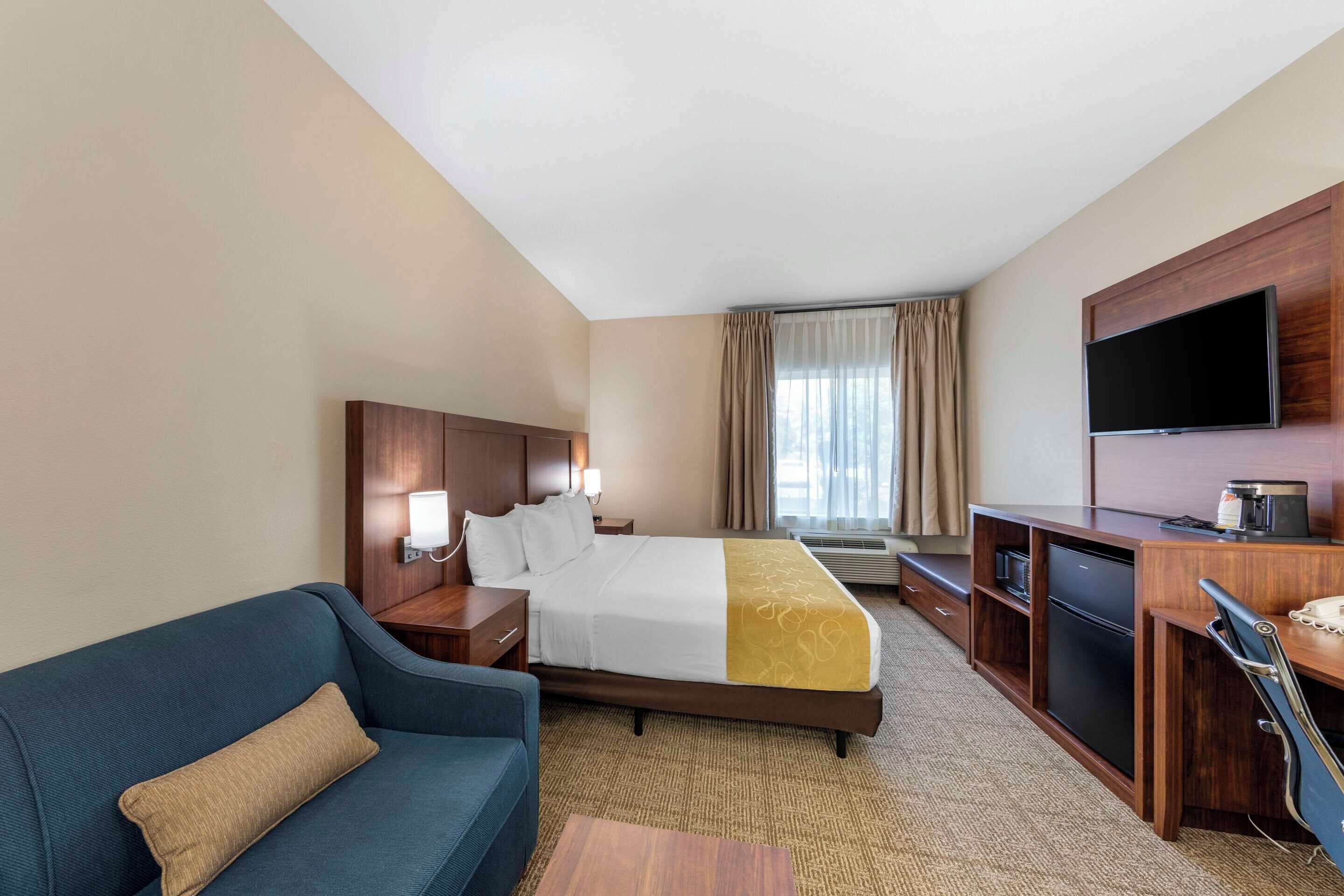 A hotel room with a bed, a desk, a TV, a sofa, and a minibar.