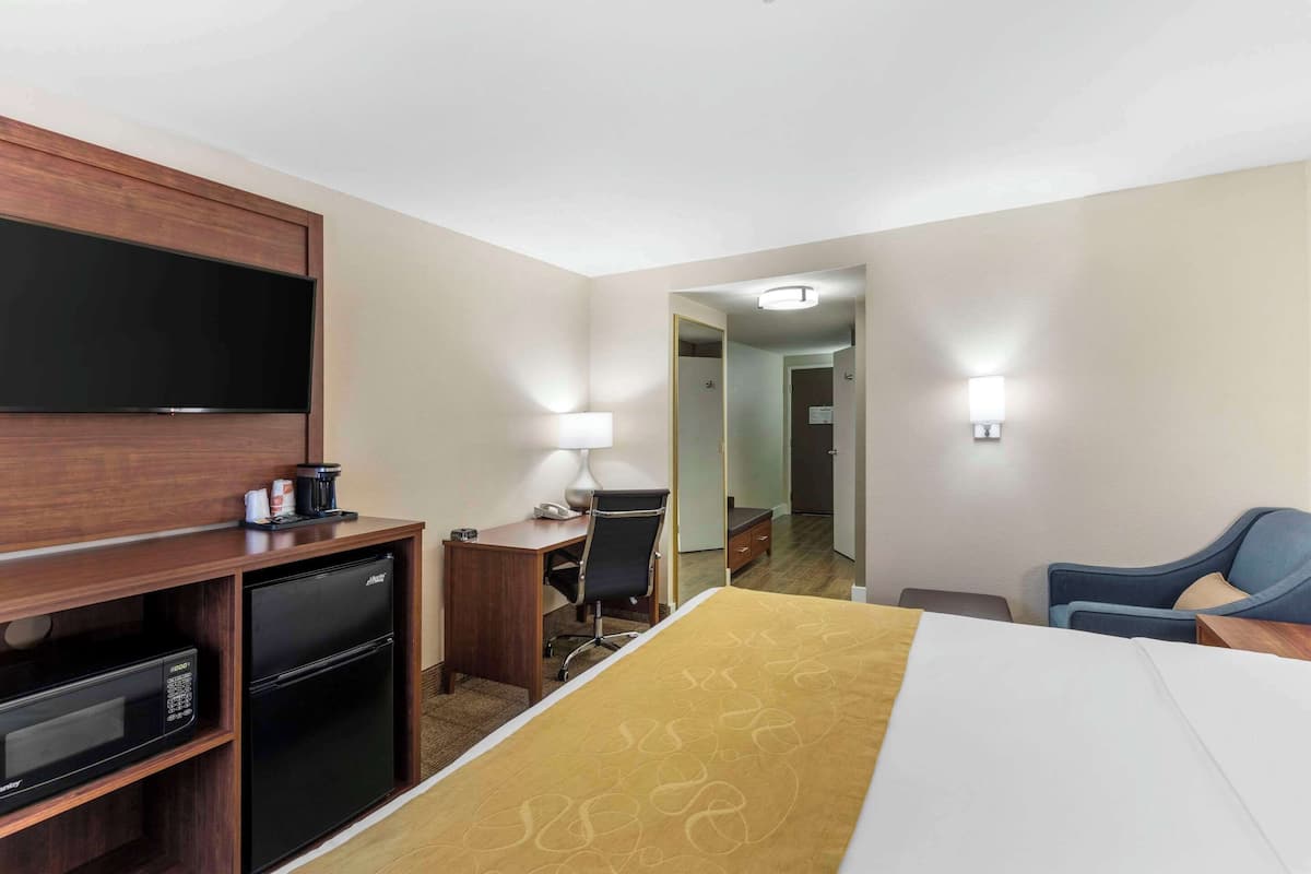 Suite, 1 letto king, non fumatori | Una scrivania, postazione laptop, tende oscuranti, ferro/asse da stiro