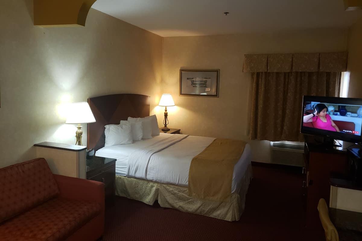 Quarto de hotel com uma cama, duas luminárias laterais, televisão, sofá e um quadro na parede.