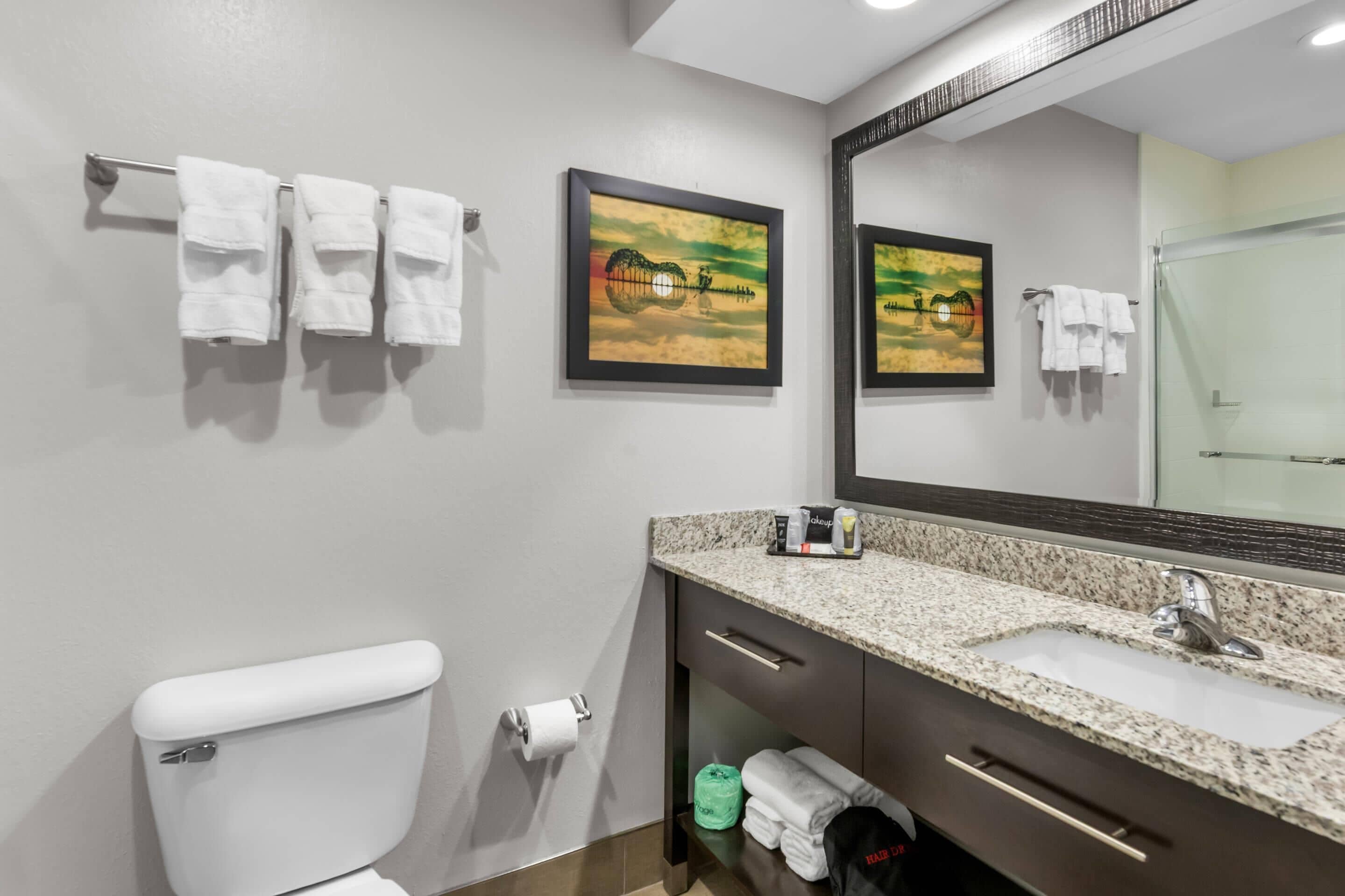 Ein Badezimmer mit Toilette, Waschbecken, Spiegel und zwei gerahmten Bildern an der Wand.
