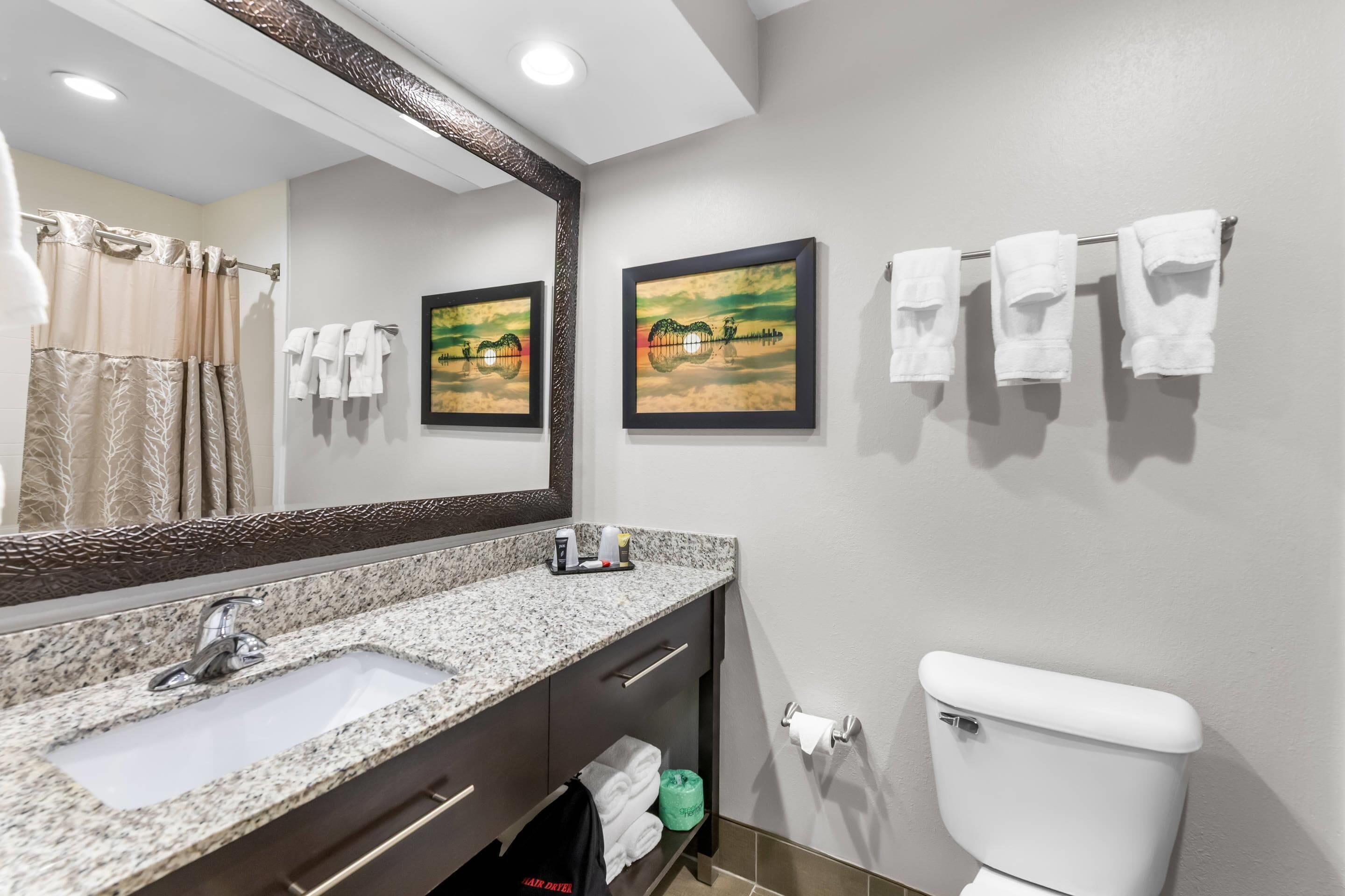Un baño con lavamanos de granito, un espejo, un inodoro y dos cuadros en la pared.