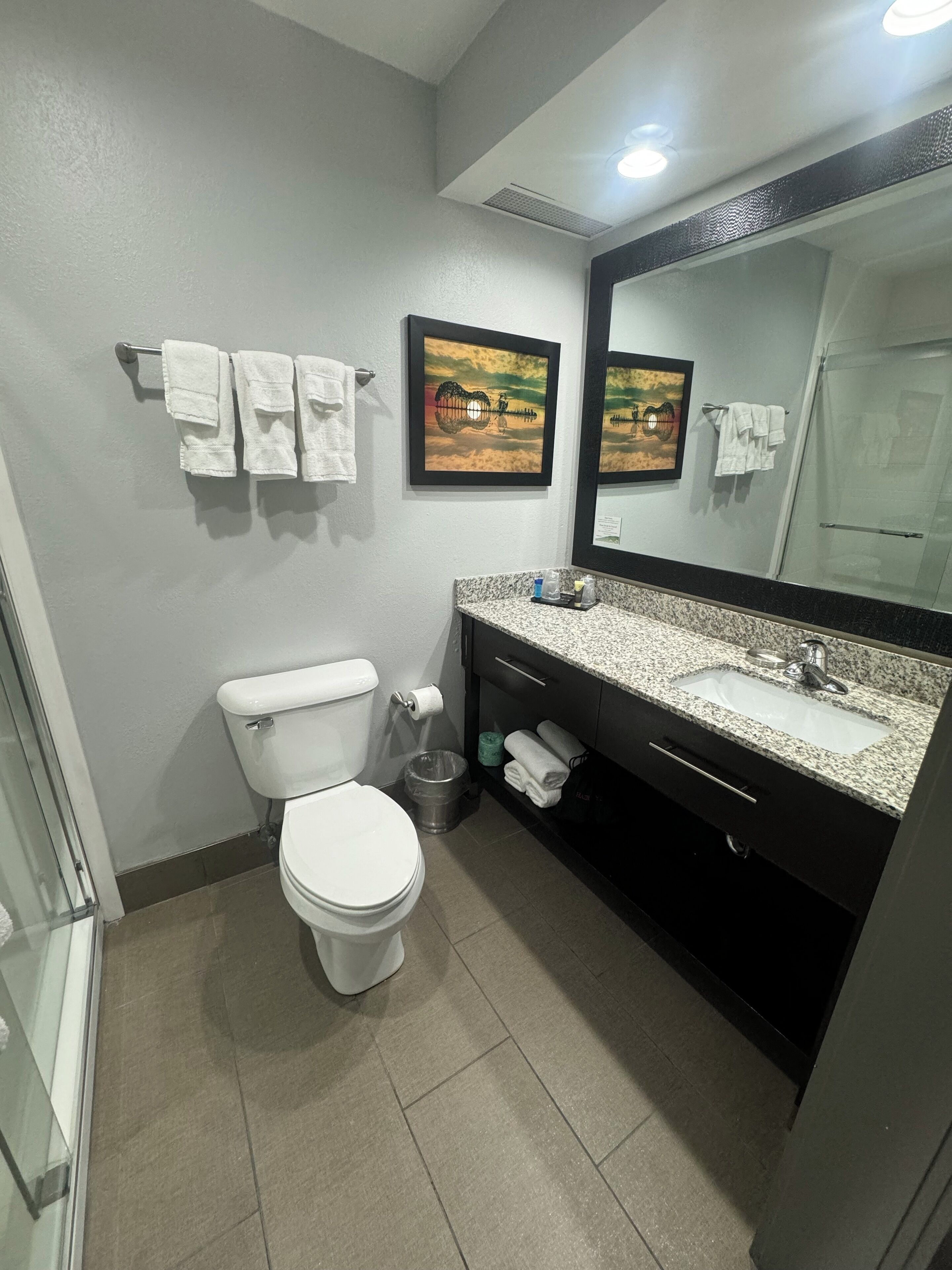 eco-friendly toiletries, hair dryer, towels, soap