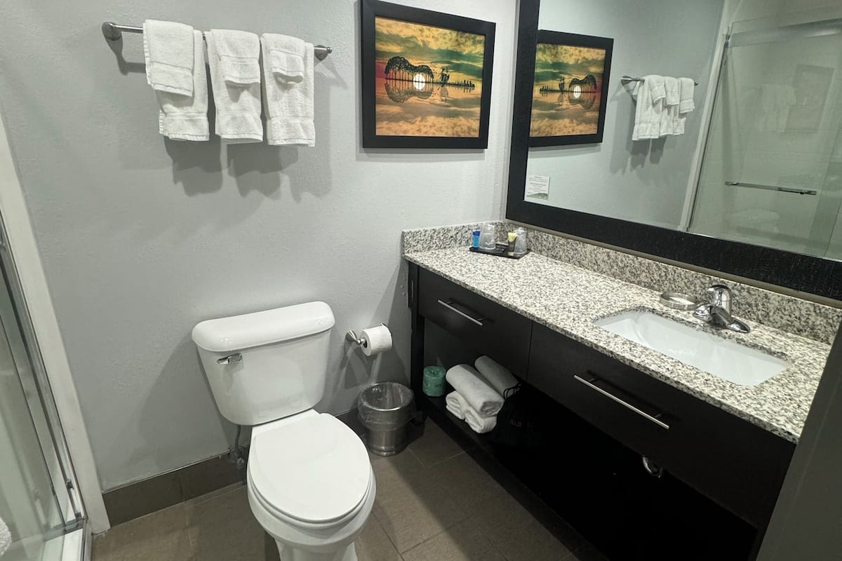 eco-friendly toiletries, hair dryer, towels, soap