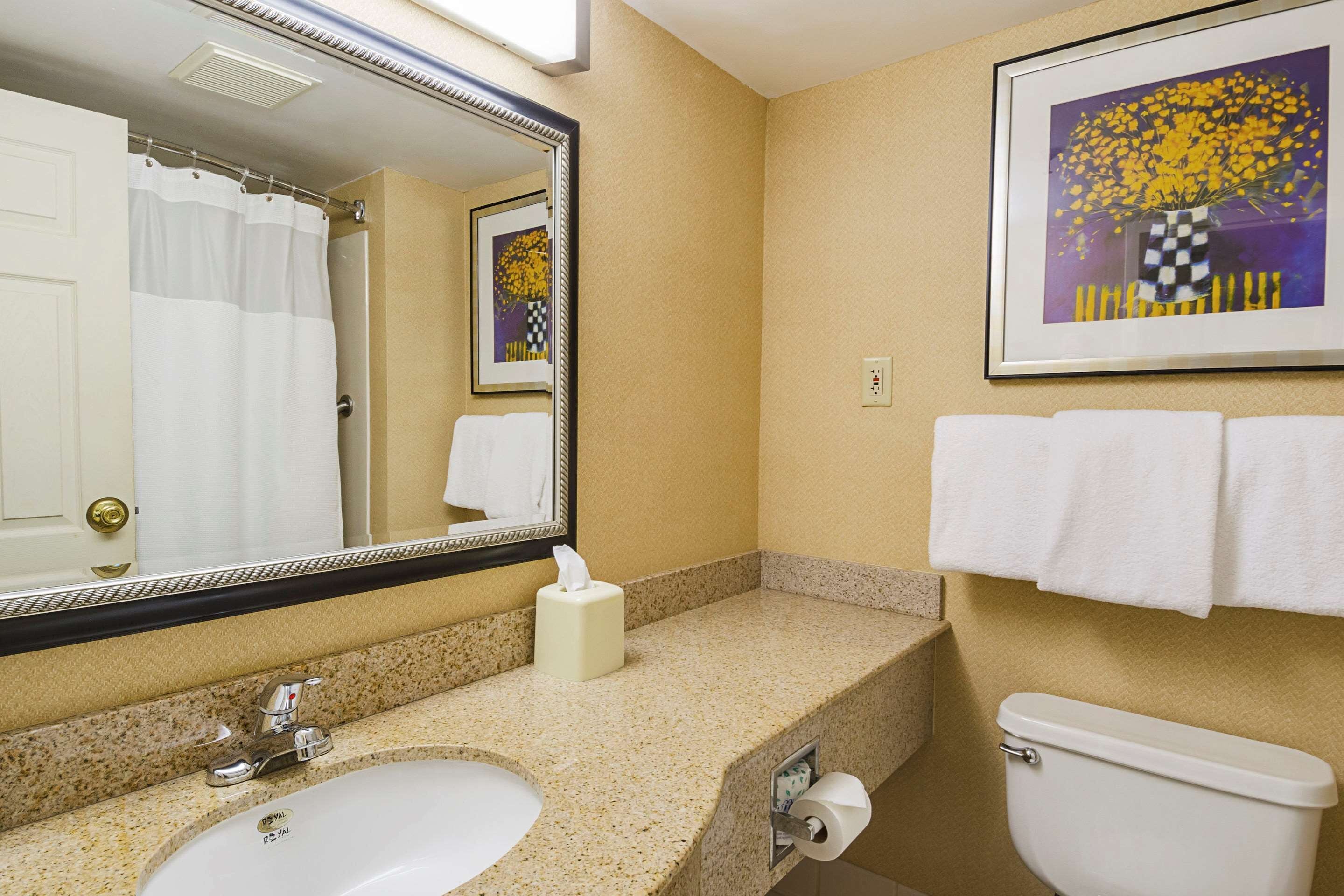 A bathroom with a sink, mirror, toilet, and a framed artwork on the wall.