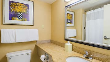 Un bagno con il water, un lavandino e uno specchio. Si vede un quadro appeso alla parete e un portascopevoli con degli asciugamani.
