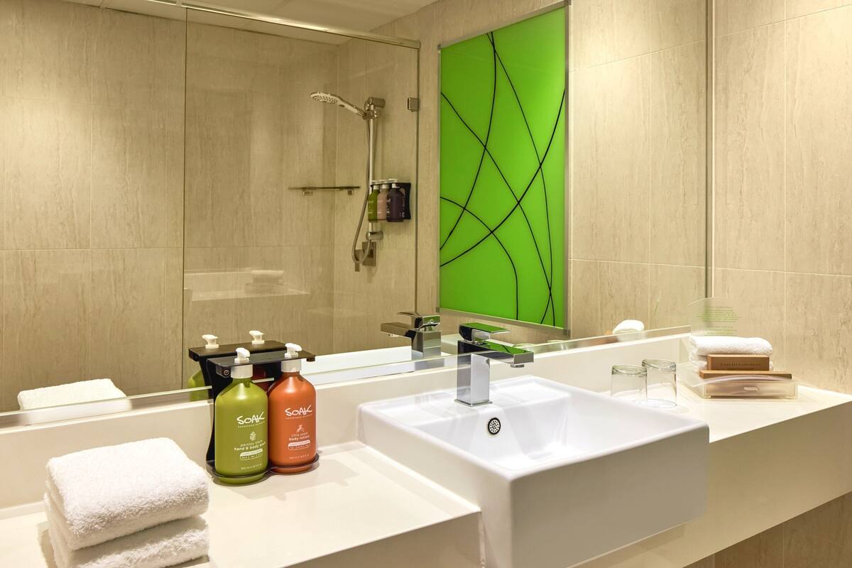 shower, free toiletries, hair dryer, towels