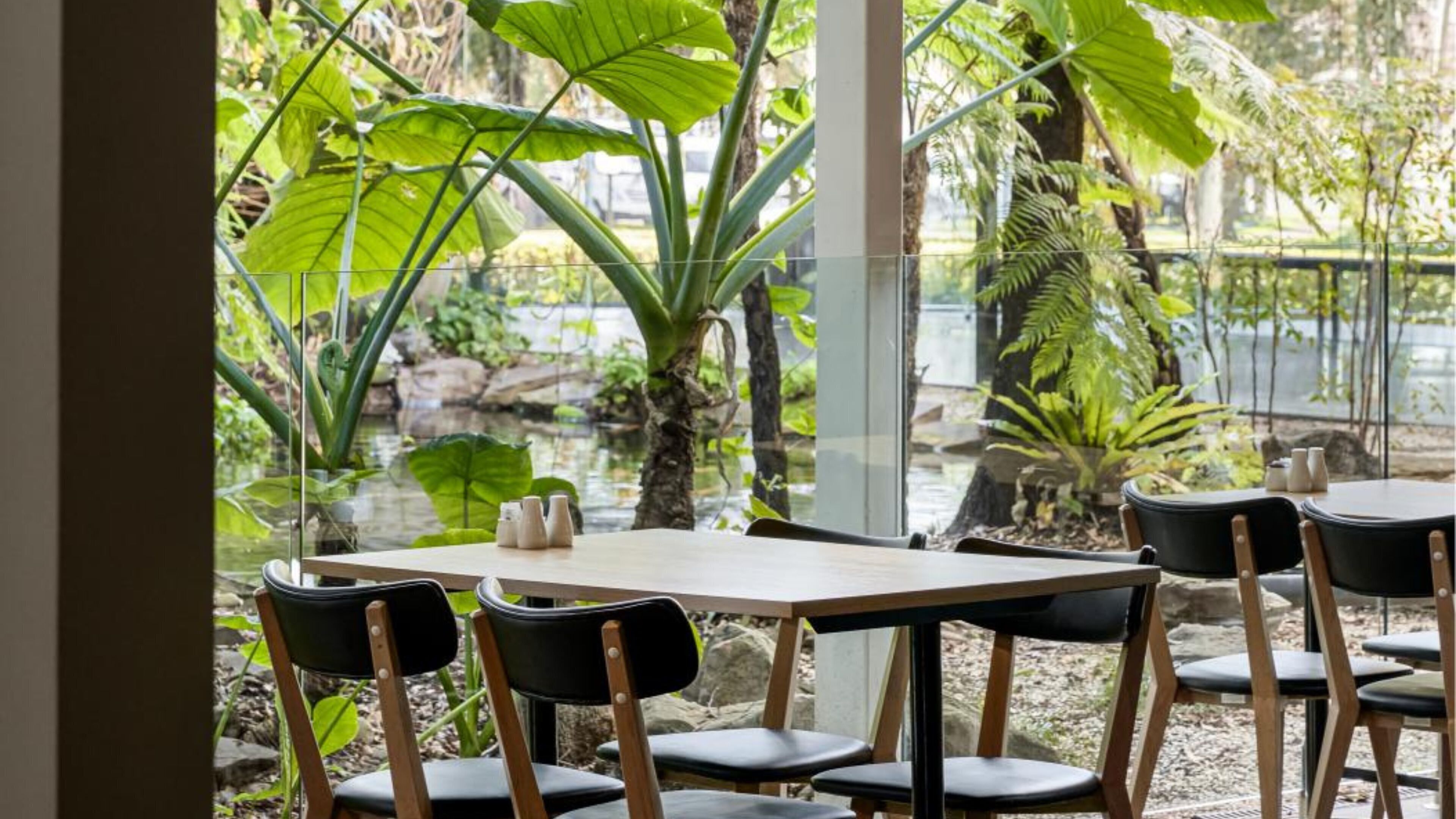 daily buffet breakfast (aud 35 per person)