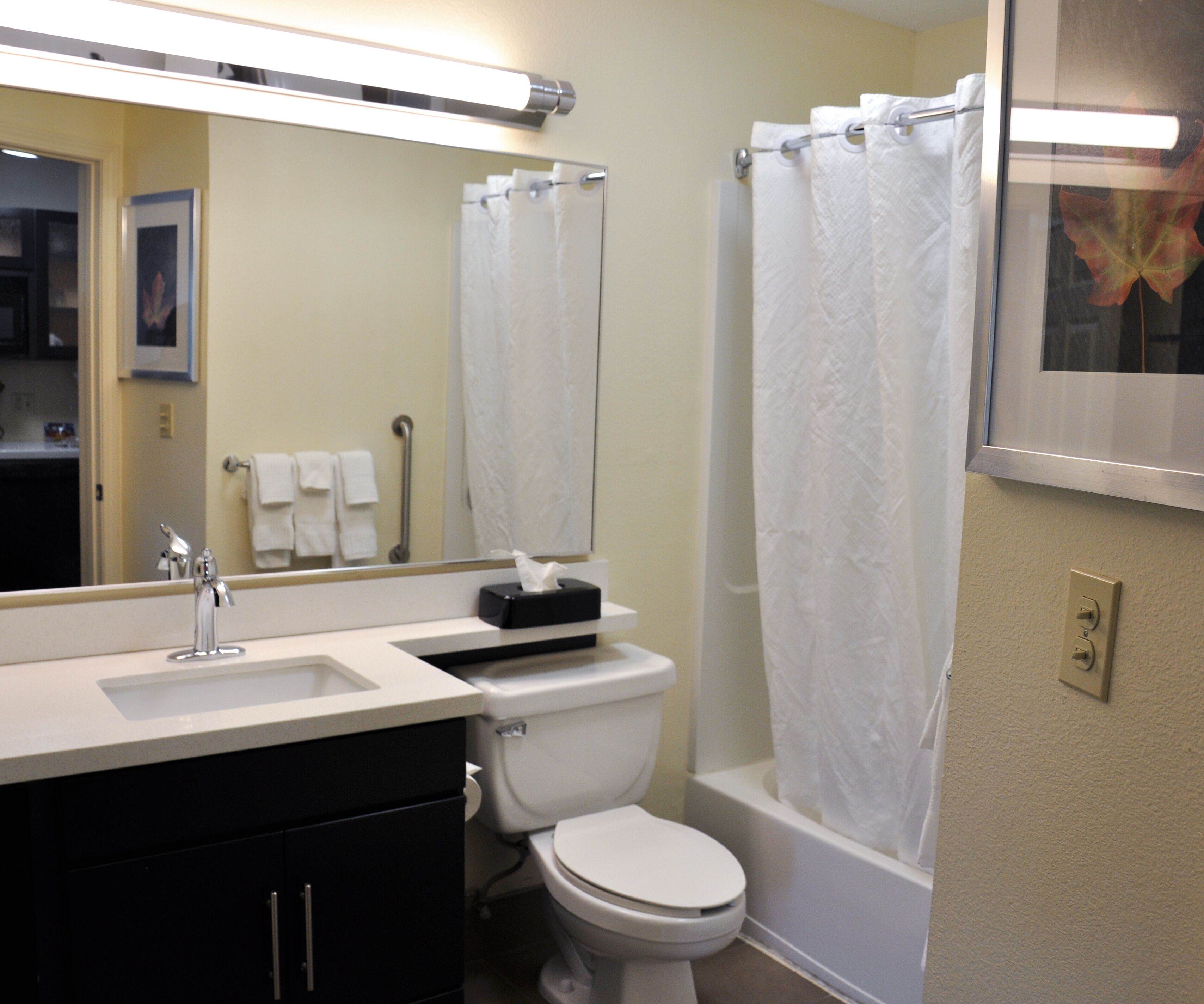 hair dryer, towels, soap, shampoo