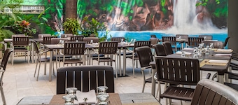 Hotel Palma Real