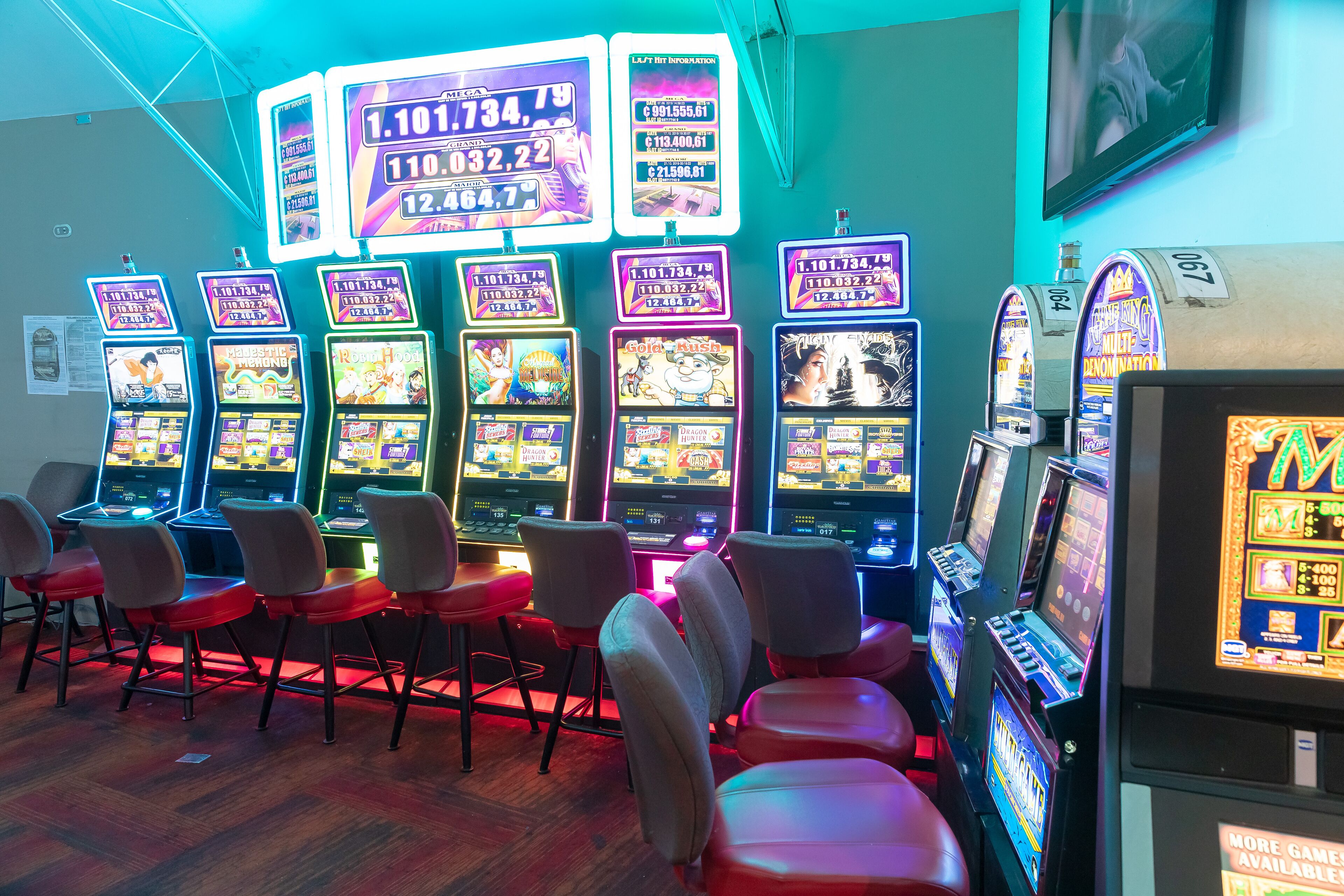 Photo - Hotel Palma Real