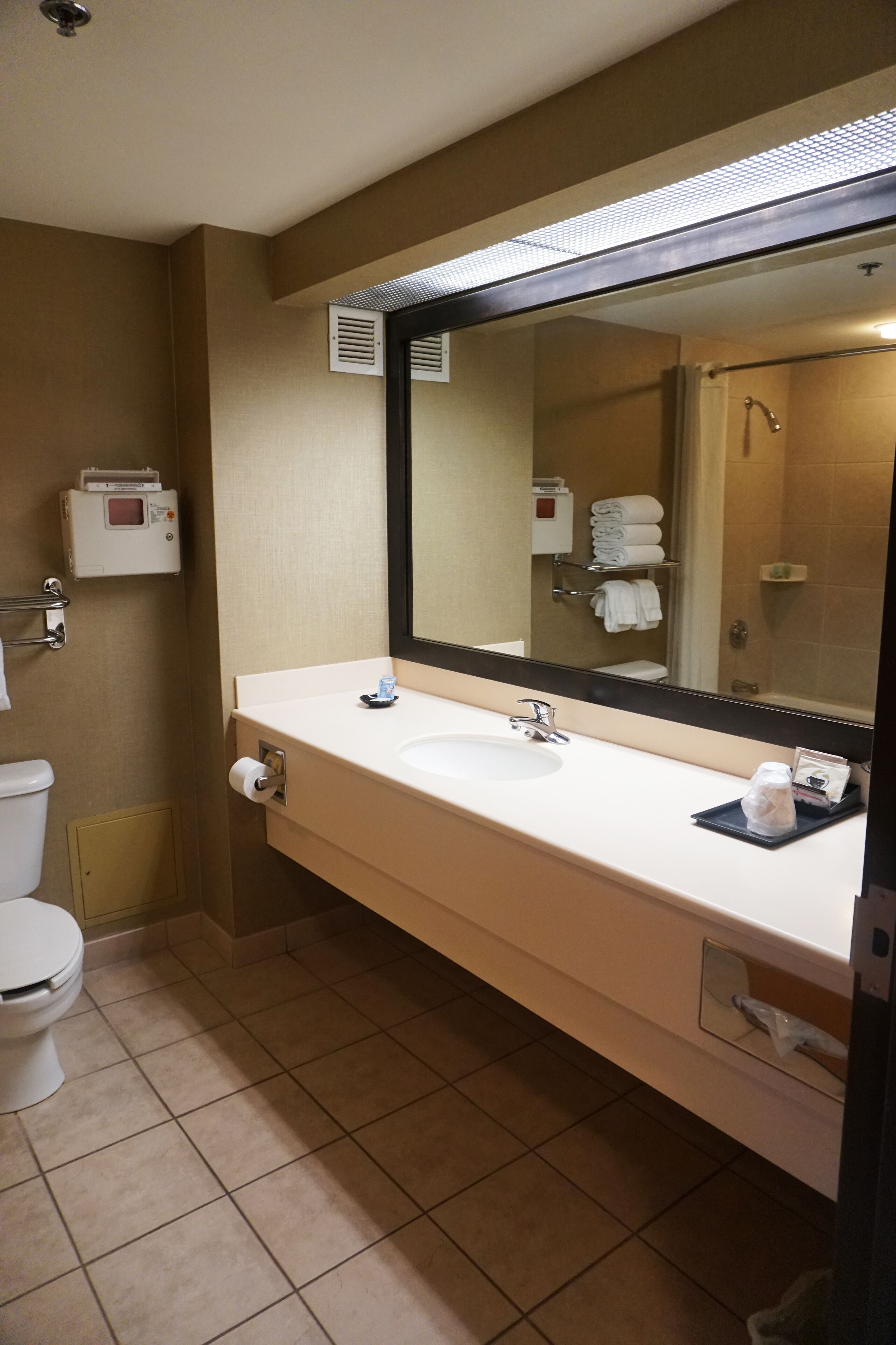 A bathroom with a white sink, a large mirror, a towel rack, and a toilet.