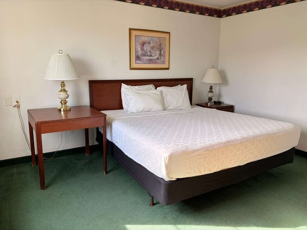 A hotel room with a bed, two bedside tables, a lamp on each table, a framed picture on the wall, and a green carpet.