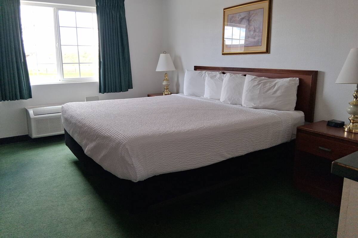 A hotel room with a large bed, a window with curtains, a radiator, a bedside table with a lamp, and a framed picture on the wall.