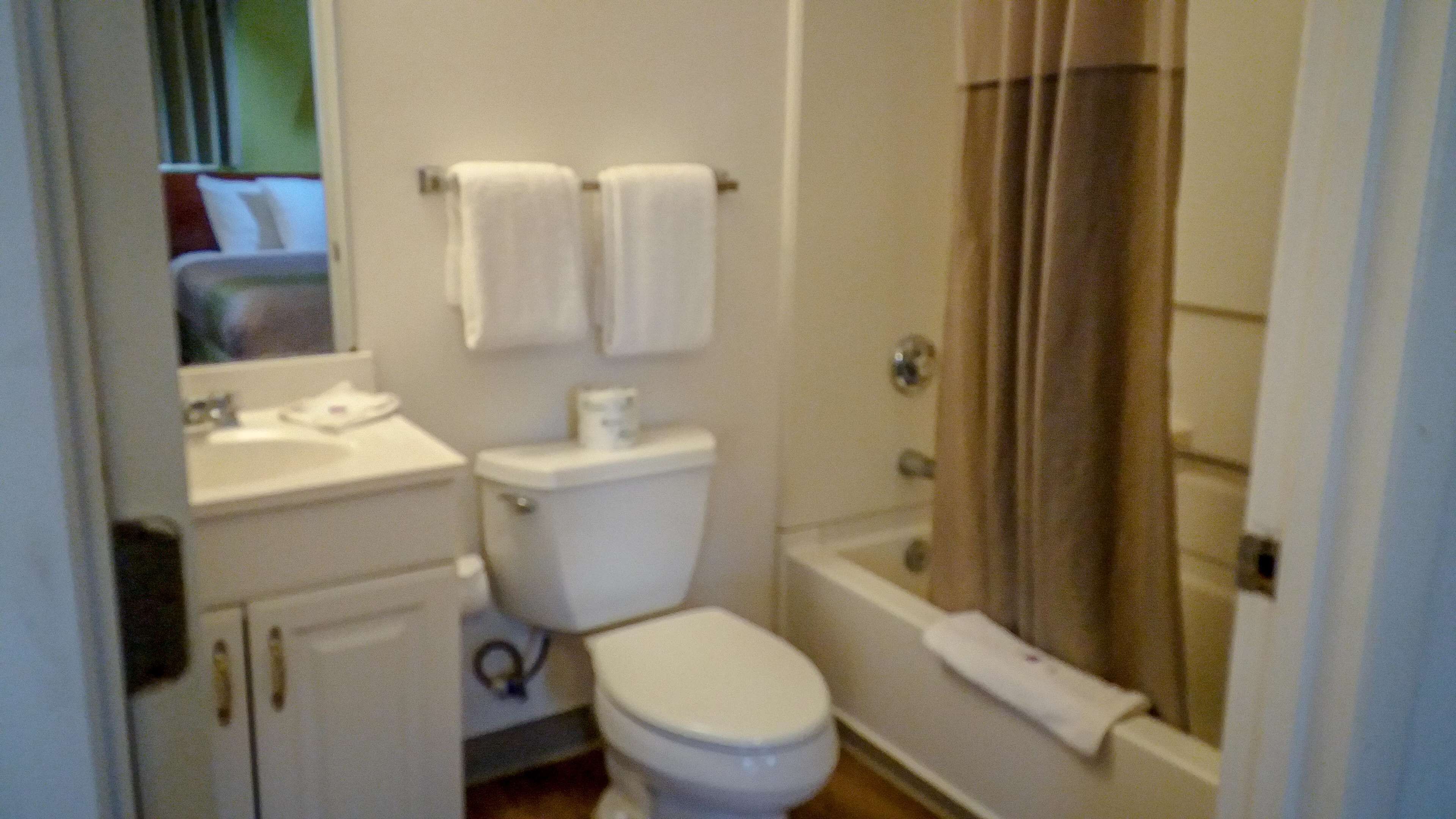 A small bathroom with a toilet, sink, and shower.