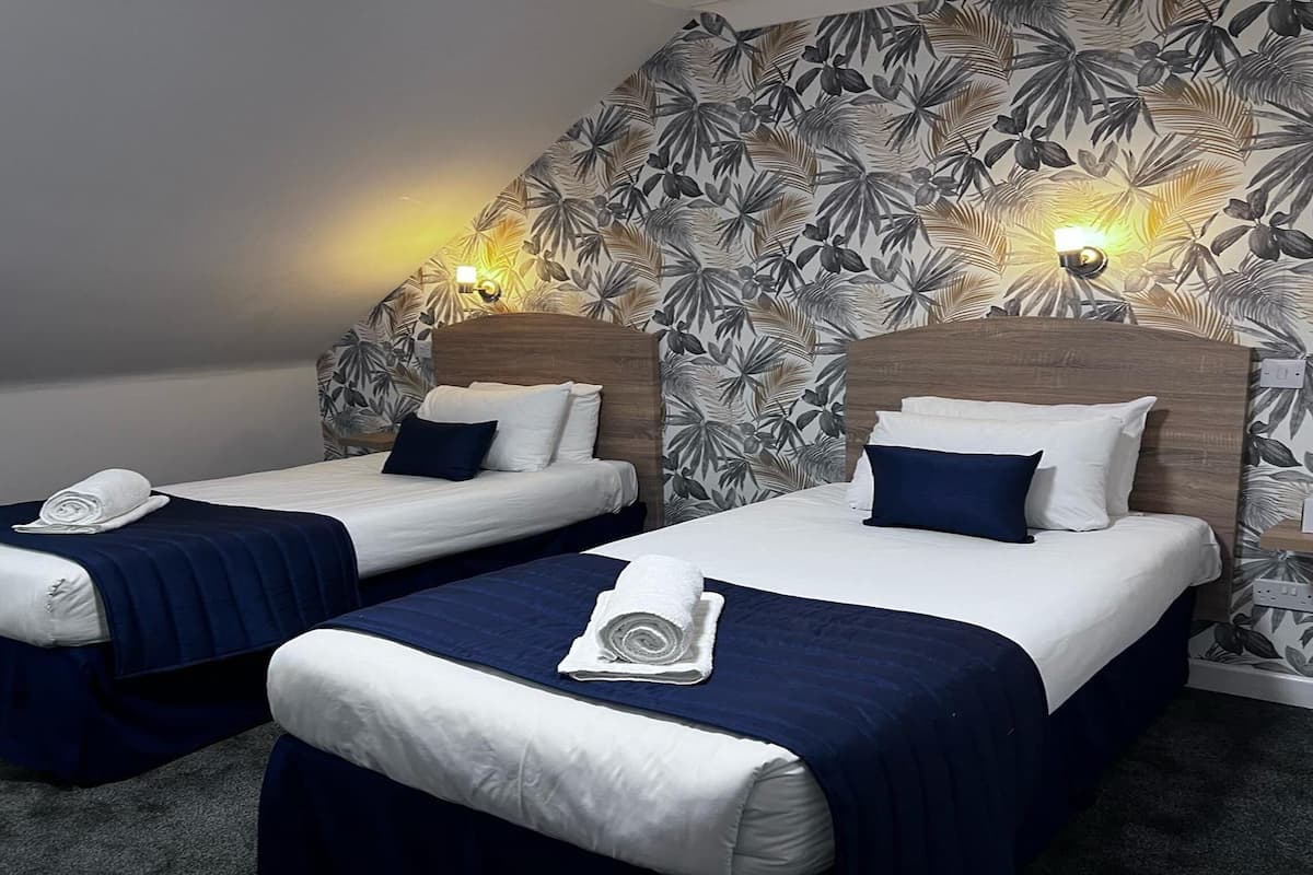 Standard Room, 2 Single Beds, Non Smoking | Desk, iron/ironing board, cots/infant beds, free rollaway beds