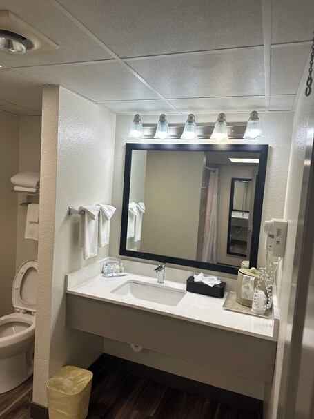 Quality Inn And Suites Dollywood - Image 33