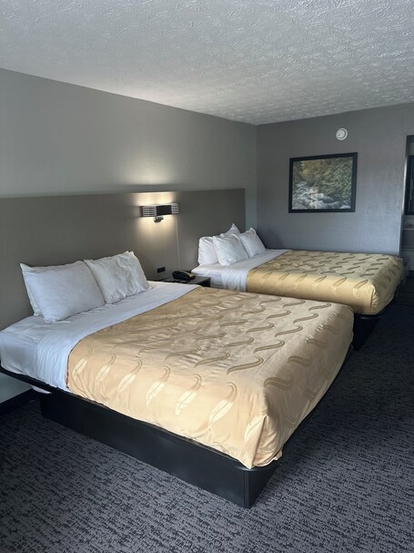 Quality Inn And Suites Dollywood - Image 37
