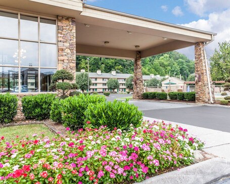 Quality Inn And Suites Dollywood - Image 4