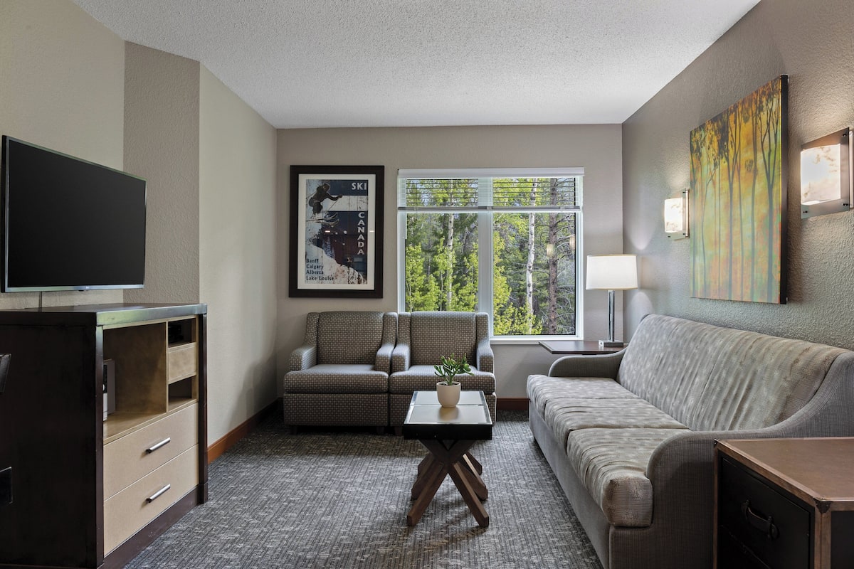 A hotel room with a flat-screen TV, two armchairs, a sofa, a small table with a plant, a window with a view of trees, and a painting on the wall.