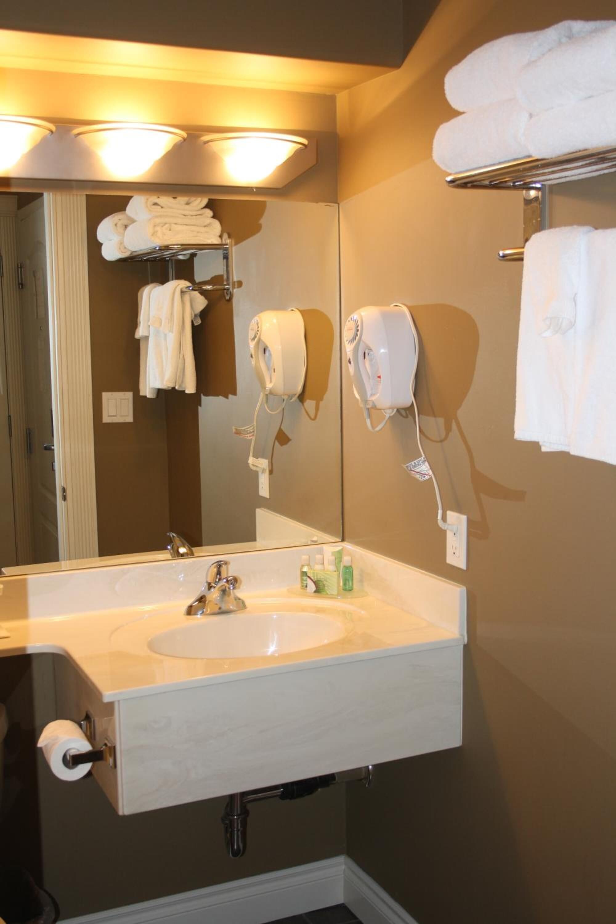 combined shower/bathtub, free toiletries, towels