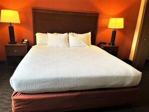 Suite, 1 King Bed, Non Smoking | Desk, laptop workspace, blackout drapes, iron/ironing board