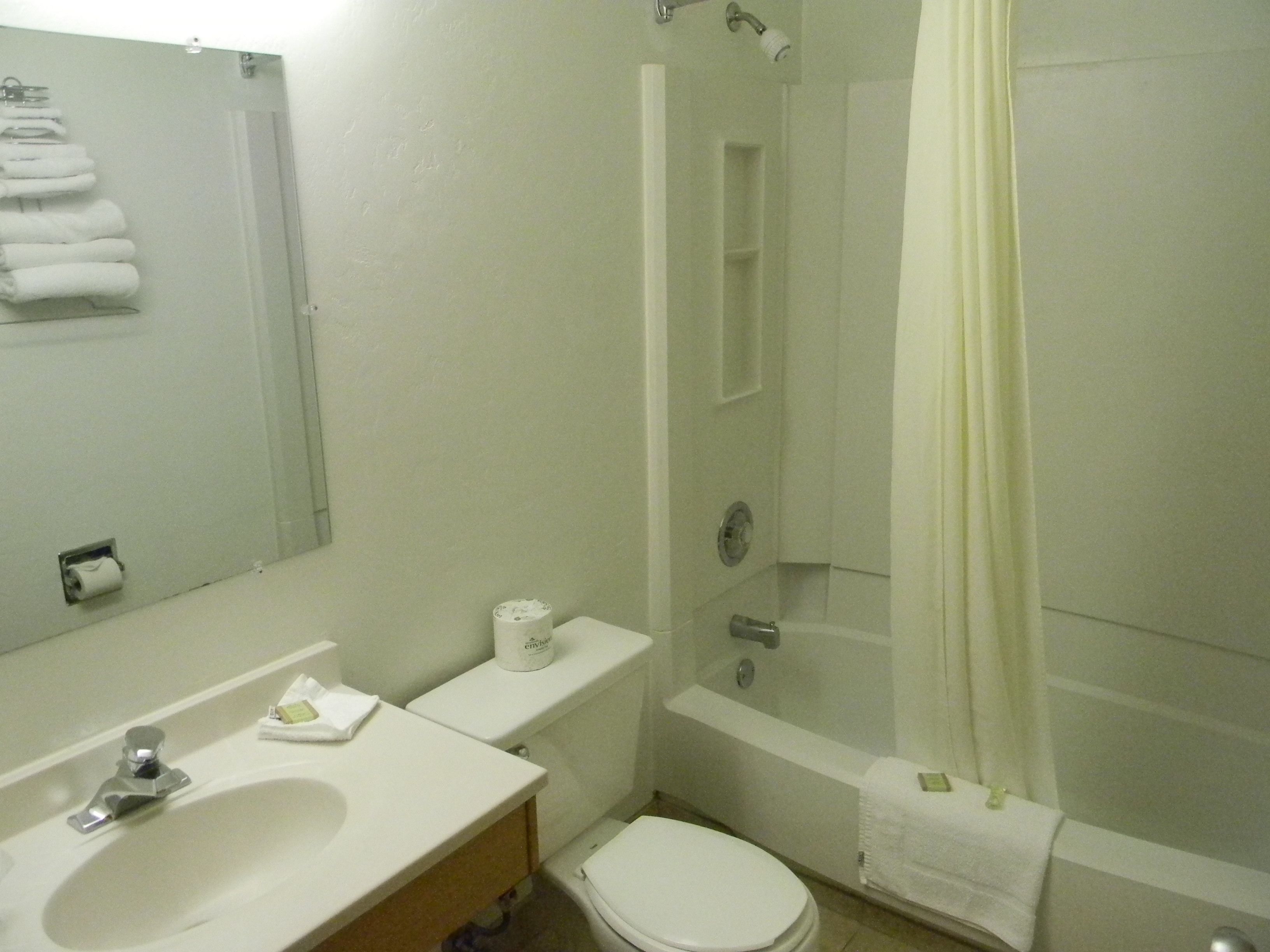 A bathroom with a sink, toilet, and shower.