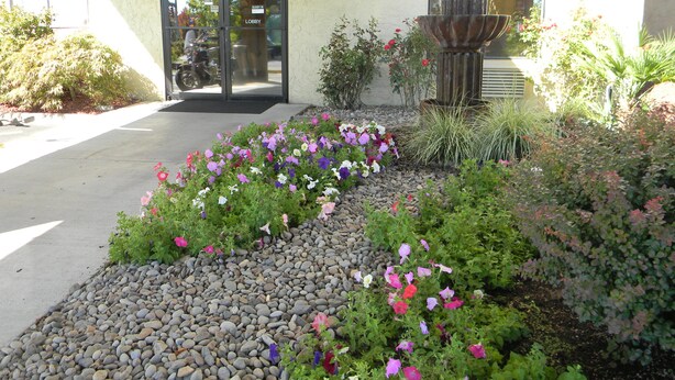 A building entrance with a gravel pathway, a flower bed with various flowers, and a water feature. - Motel 6 Wilsonville, OR - Portland (Wilsonville)