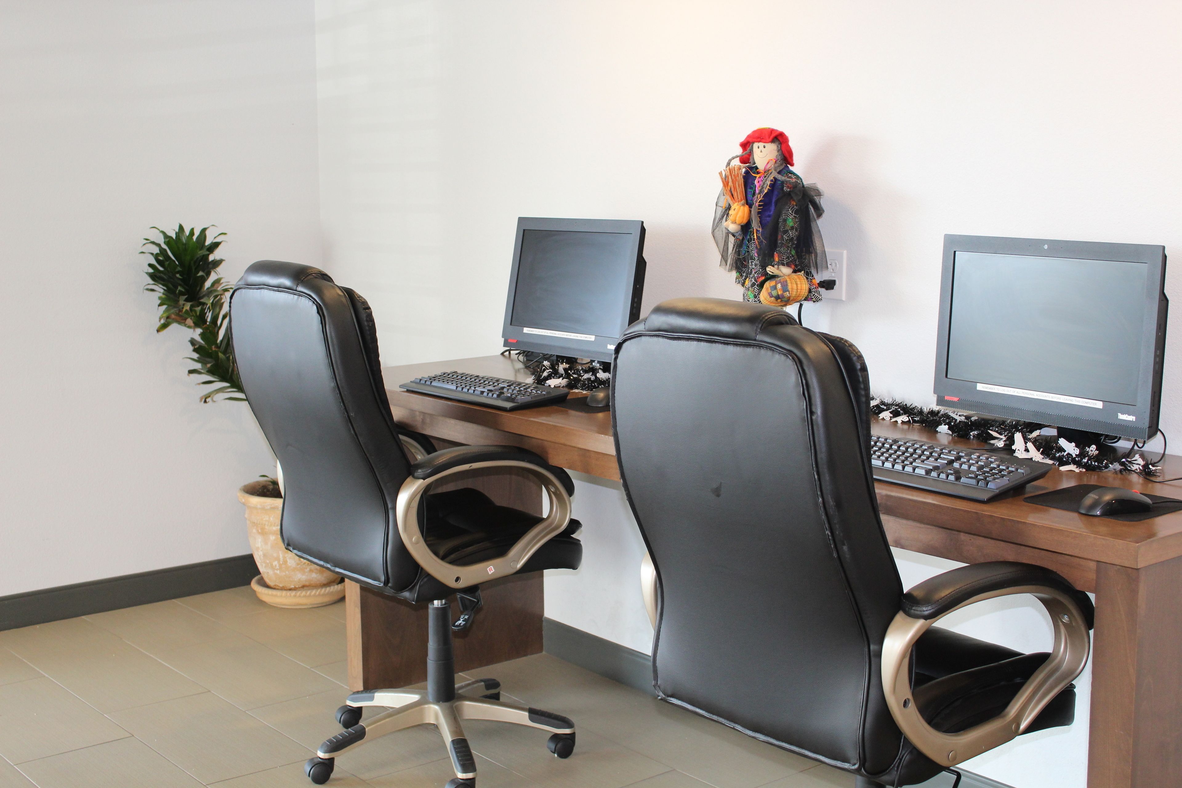 A workspace with two desks, each with a computer and keyboard. There are two office chairs, one with a high back and the other with a curved back. A potted plant is visible in the corner.