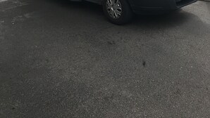 Una camioneta blanca estacionada en una gasolinera, con un logotipo visible y texto que indica que es un servicio 'Park & Fly'.