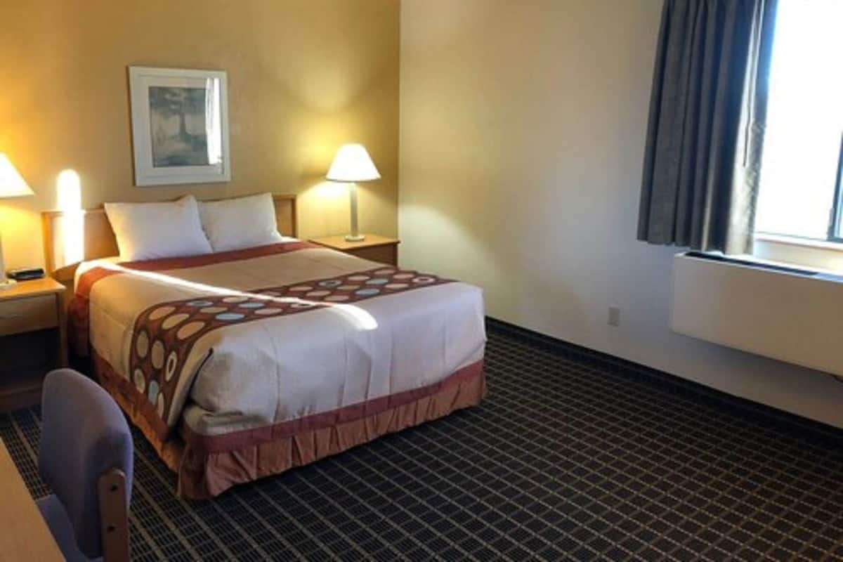 A hotel room with a bed, two bedside lamps, a window with curtains, a chair, and a carpeted floor.