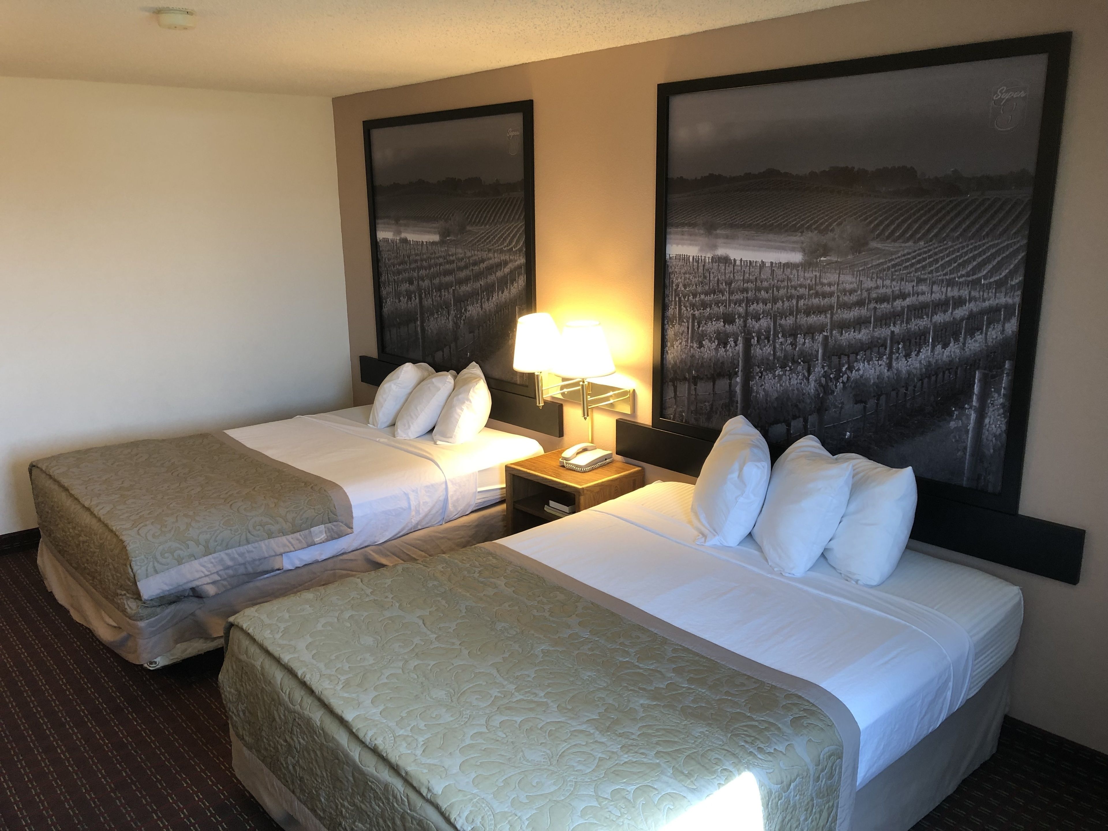 A hotel room with two beds, a nightstand with a lamp, and two large framed pictures on the walls.