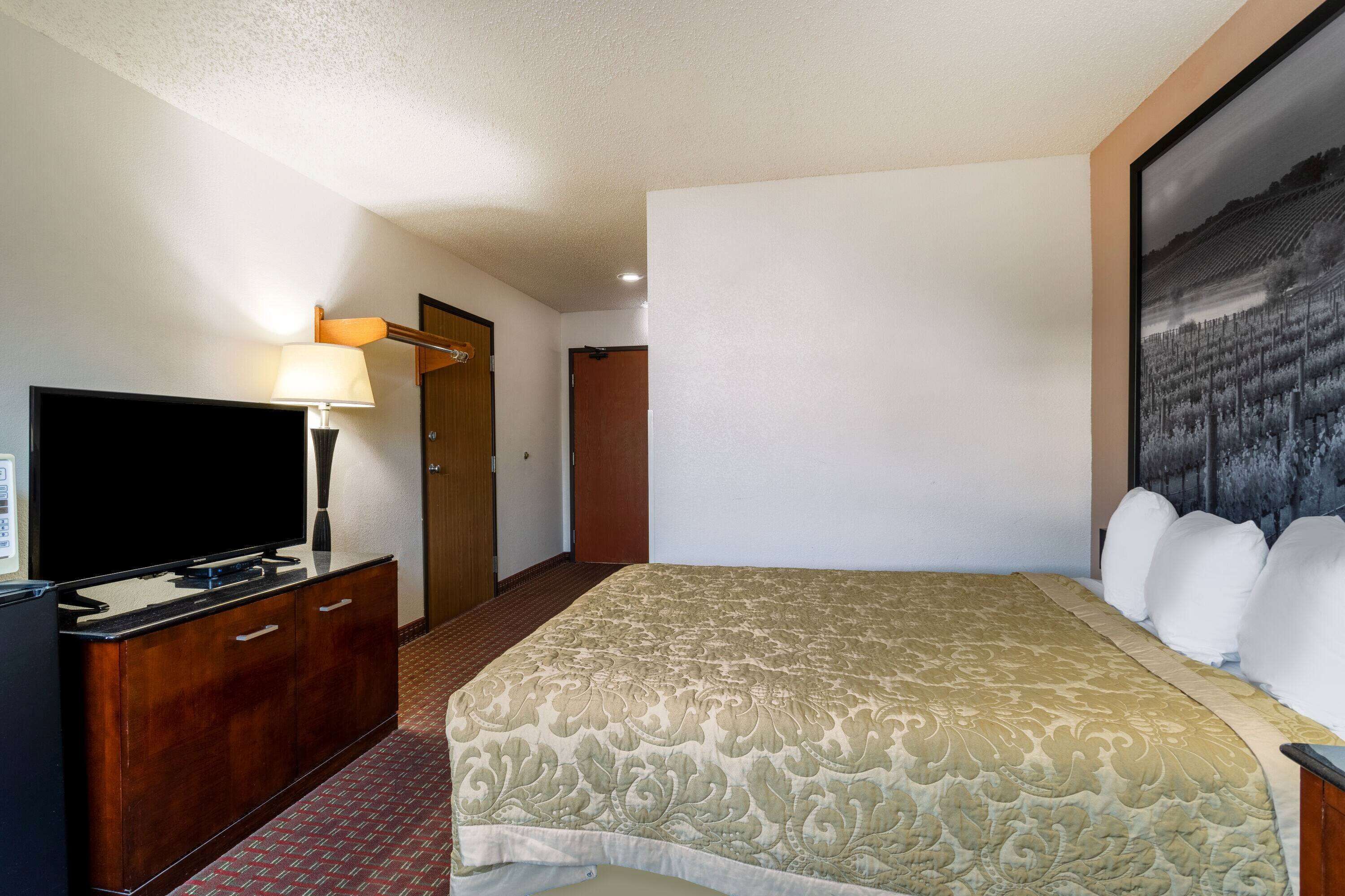 Una habitación de hotel con una cama, un televisor, un escritorio y un cuadro en la pared.