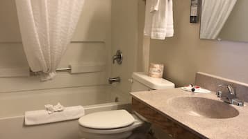 Combined shower/tub, free toiletries, hair dryer, towels