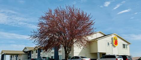 Fachada da propriedade