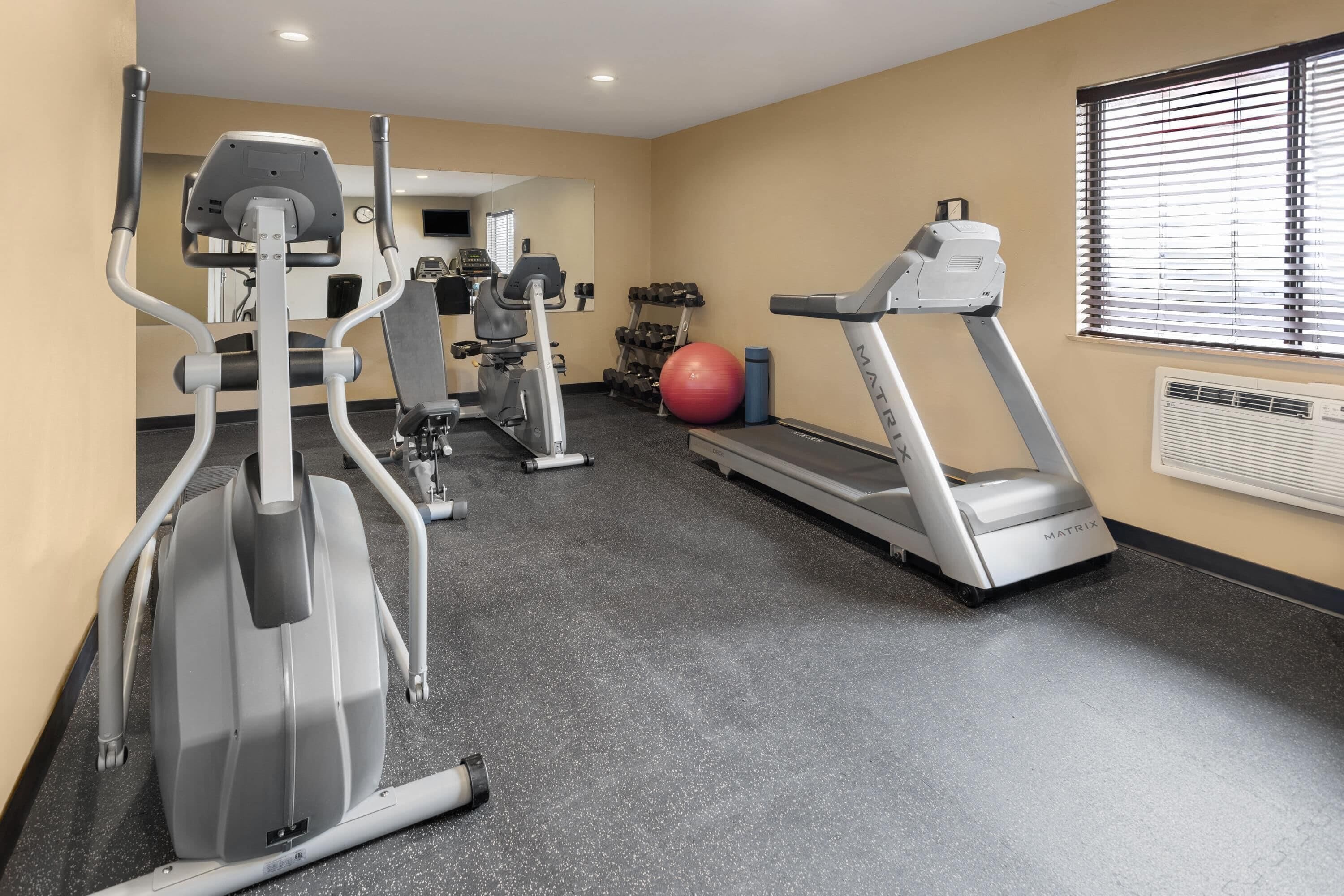 A gym with treadmills, elliptical machines, and free weights.