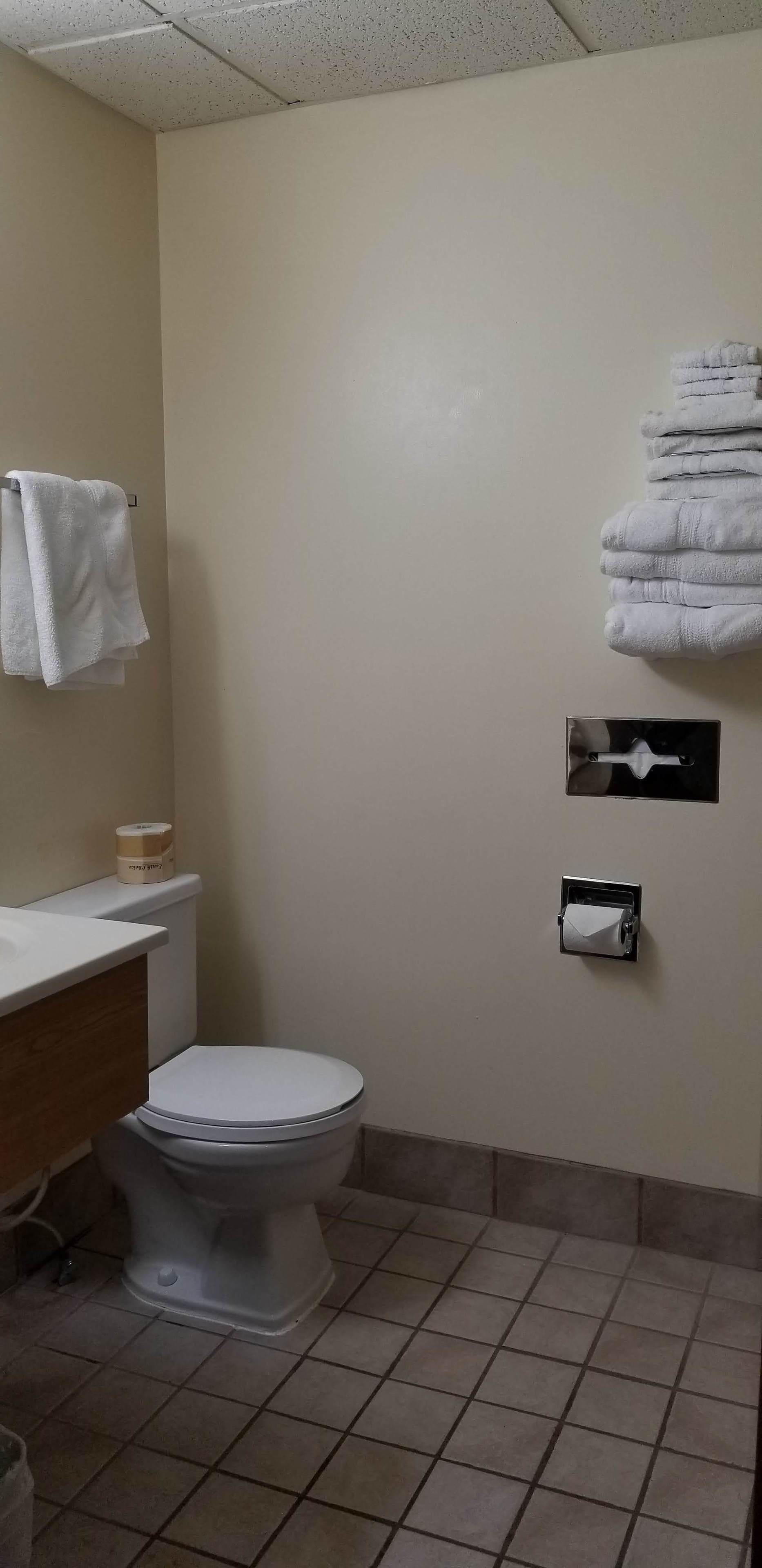 A bathroom with a toilet, a sink, and a towel rack.