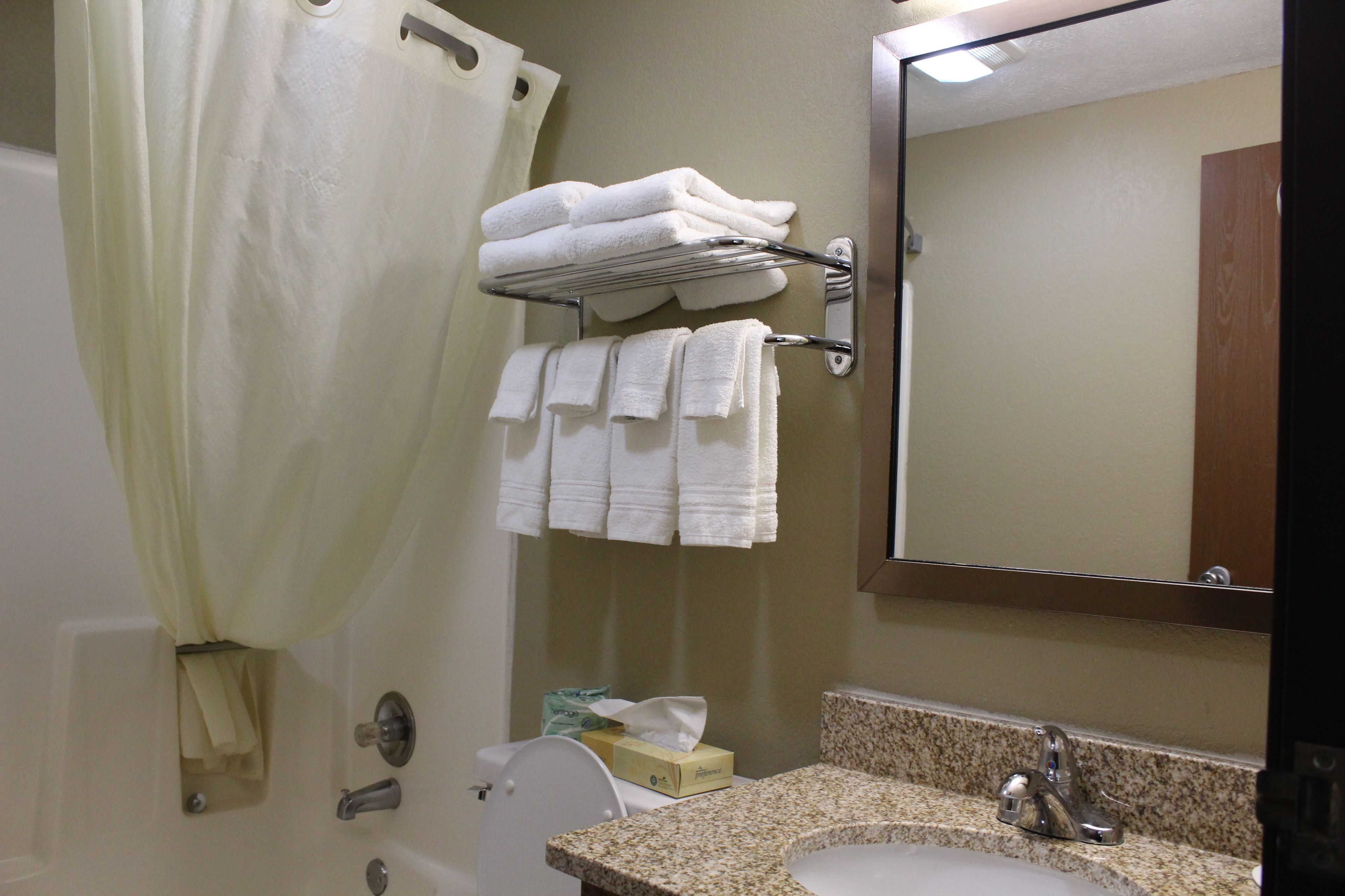 A bathroom with a shower curtain, a towel rack with folded towels, a toilet, a sink with a mirror, and a box of tissues on the counter.