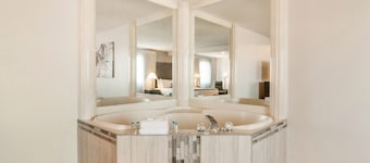 American Inn Suites Detroit Metro Airport