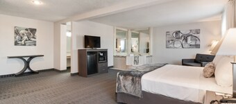 American Inn Suites Detroit Metro Airport