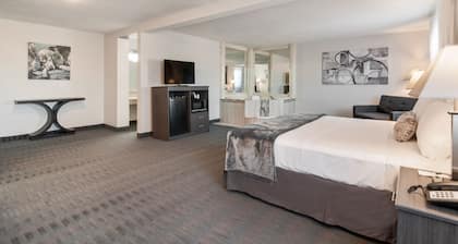 American Inn Suites Detroit Metro Airport